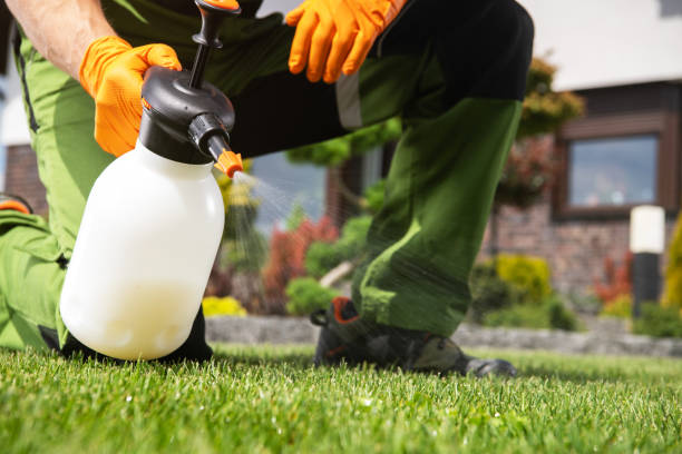 Best Bird Control  in Ponderay, ID