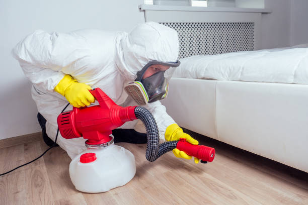 Best Pest Prevention Services  in Ponderay, ID