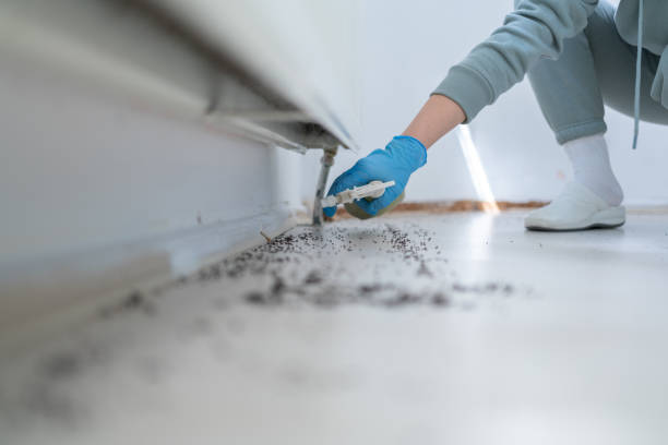 Ponderay, ID Pest Control Company